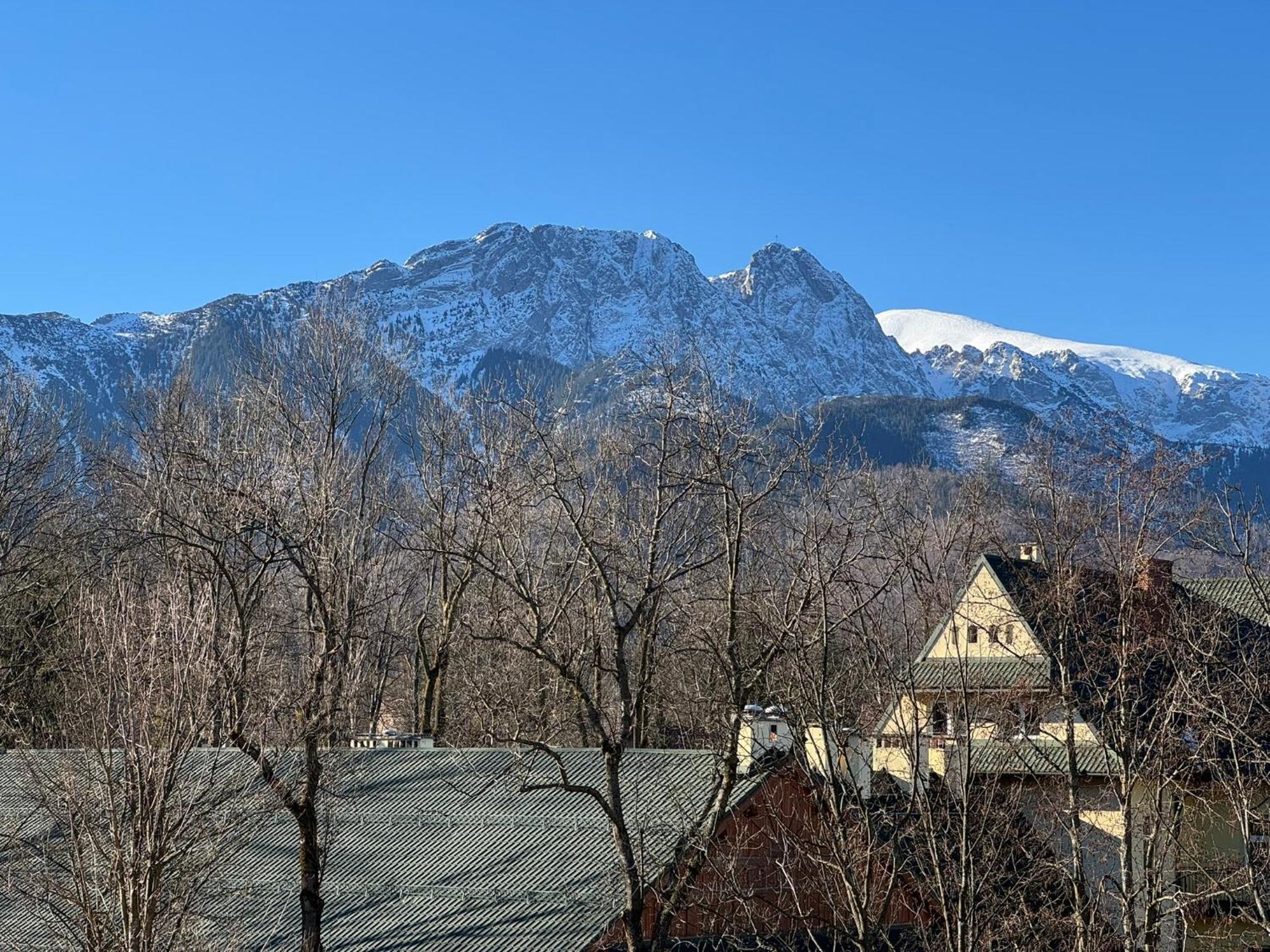Dafne Zakopane Bed and Breakfast Exteriör bild