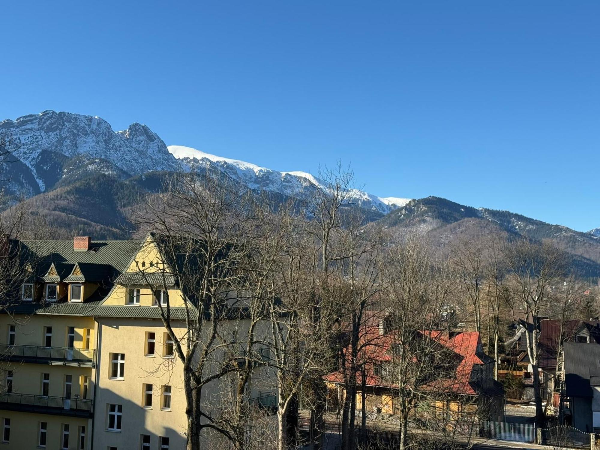 Dafne Zakopane Bed and Breakfast Exteriör bild